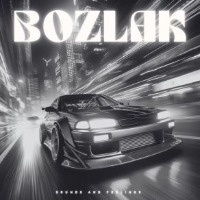 Download track BOZLAK (Slowed) JerlixDartro