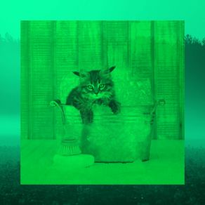 Download track Magical Backdrops For Friendly Cats Cat Music Studio