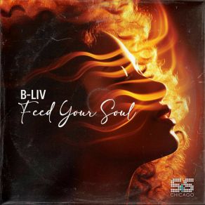 Download track Feed Your Soul (Soul Side Instrumental) B-Liv