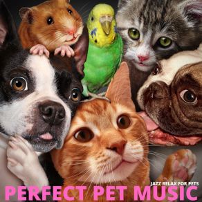 Download track Pets Love The Easy Life Perfect Pet Music