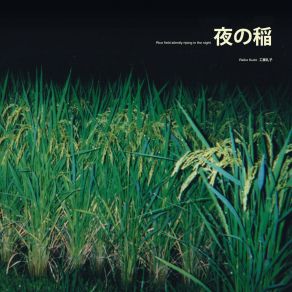 Download track Kaihatsu-San Reiko Kudo