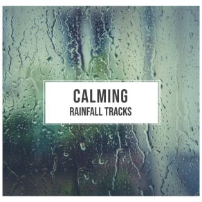 Download track 10 Minute Loopable Heavy Rain Ambient Nature Project