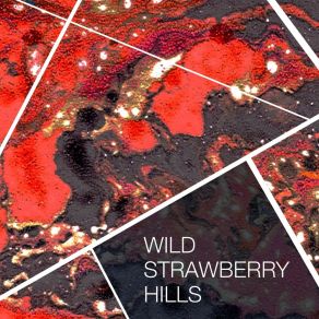 Download track Misunderstood Wild Strawberry Hills