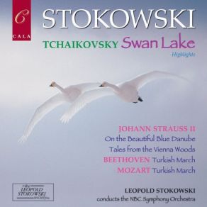 Download track Swan Lake Op. 20, Act II No. 13: Danses Des Cygnes: V. Pas D'action Symphony Orchestra