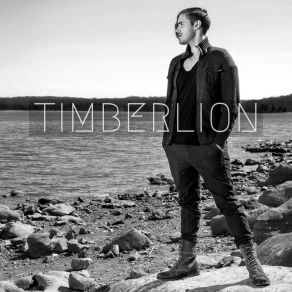 Download track Can't Say I Can't Timberlion