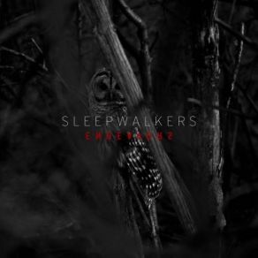 Download track Sleeping Mountains Endeavors