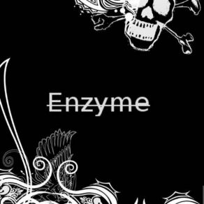 Download track Magicien Enzyme