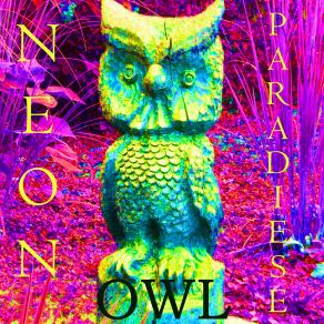 Download track Owl Neon Paradiese