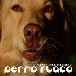 Download track La Caravana Perro Flaco