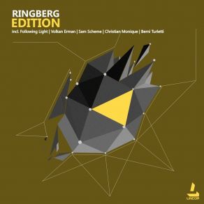 Download track Echoes Of Goodbye (Volkan Erman Remix) Ringberg