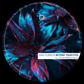 Download track Beyond Your Eyes (Victor Ibarrola Remix) Ianai IturrietaVictor Ibarrola