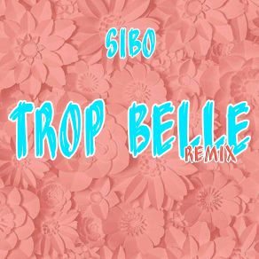 Download track Trop Belle (Remix) SIbo