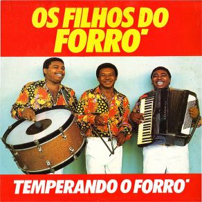 Download track Sou Maluco Por Você Os Filhos Do Forró