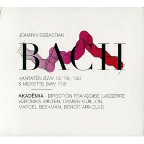 Download track Nach Dir, Herr, Verlanget Mich, Cantata, BWV 150: Sinfonia Johann Sebastian Bach