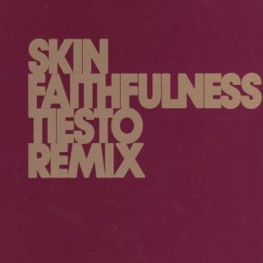 Download track Faithfulness (Remix) SkinDJ Tiësto