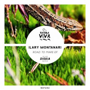 Download track The Doppler Ilary Montanari