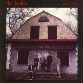 Download track For Awhile The Feelies