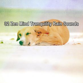 Download track Beauty In Natures Rainfall Rain Sounds Sleep