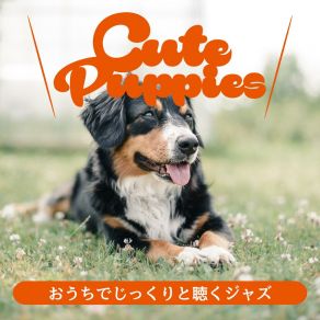 Download track Shimmering Visions Of Peace Cute Puppies