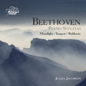 Download track Piano Sonata No. 14 In C Sharp Minor, Op. 27 No. 2 