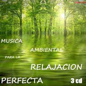 Download track Citar Mood Musica Ambiental