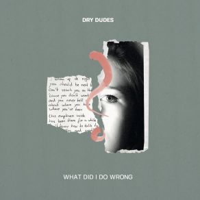 Download track What Did I Do Wrong? (Radio Edit) Dry Dudes