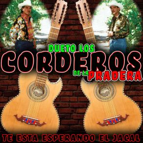 Download track Esperanza De Mi Vida Dueto Los Corderos De La Pradera