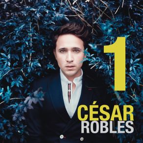 Download track Una Canción Que Te Enamore Cesar Robles