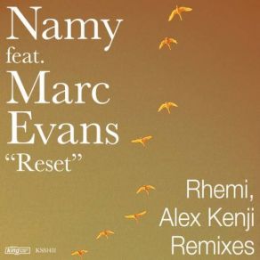 Download track Reset (Rhemi Dub Mix) Marc Evans, Namy