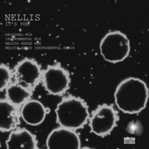 Download track It's You (Melvin Reese Mix) Nellis