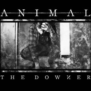 Download track The Downer Animal