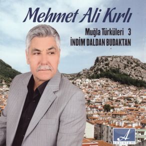 Download track Hanım Serpmiş Saçlarını Mehmet Ali Kırlı