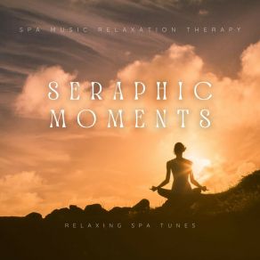 Download track Tranquil Horizons Spa Music Relaxation Therapy