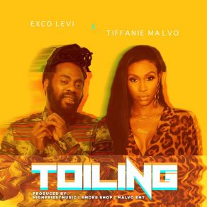 Download track Toiling Exco Levi, Tiffanie Malvo