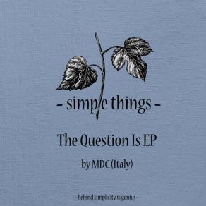 Download track The Question Is (Original) MDC (Italy)