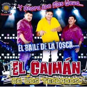 Download track Mananitas De Cristal El Caiman De Los Teclados