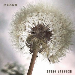 Download track A Flor Bruno Vannuchi