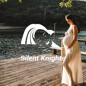 Download track Womb Sleep The Silent KnightsDylan Barnes, Rob Davy, Mark Dowling