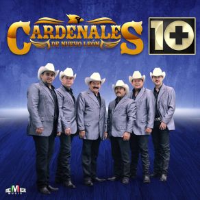 Download track El Gusto Es Mío Cardenales De Nuevo León