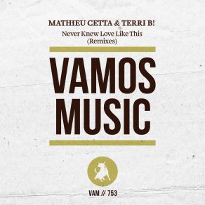 Download track Never Knew Love Like This (Diola Remix) Mathieu CettaDiola