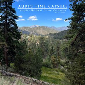 Download track Angeles National Forest (Rain) Audio Time CapsuleThe Rain