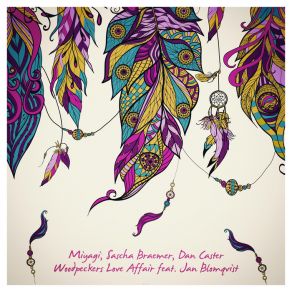 Download track Woodpeckers Love Affair (Dan Caster Remix) Sascha Breamer, Dan Caster, Jan Blomqvist