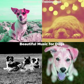 Download track Fashionable Ambiance For Cute Puppies Beautiful Music For Dogs