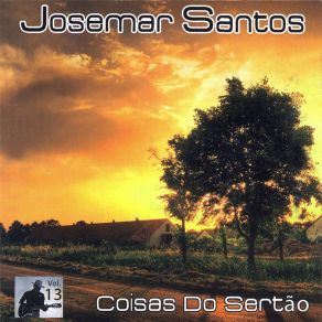 Download track Pé De Ipê Josemar Santos