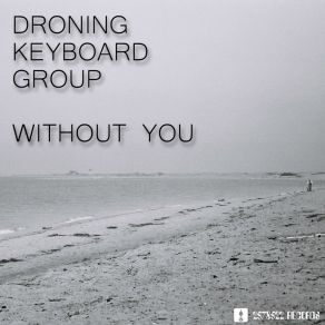 Download track A While Now Droning Keyboard GroupThe Turn