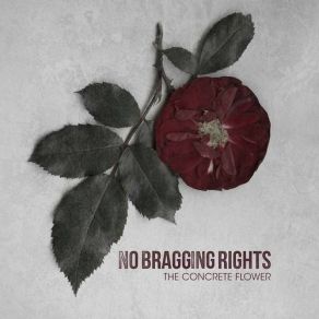 Download track Downhearted No Bragging Rights