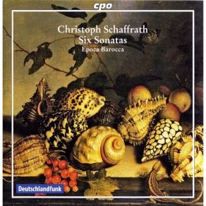 Download track 13. Duetto In B Flat Major For Oboe Obliged Harpsichord - I. Largo Christoph Schaffrath