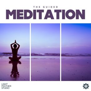 Download track Sand Dollar Daily Nu Meditation Music