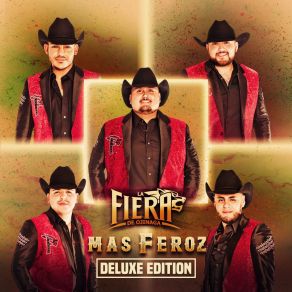 Download track Laberinto De Amor La Fiera De Ojinaga