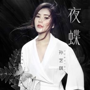 Download track 夜蝶 (DJ版) Sun Yi Qi何鹏